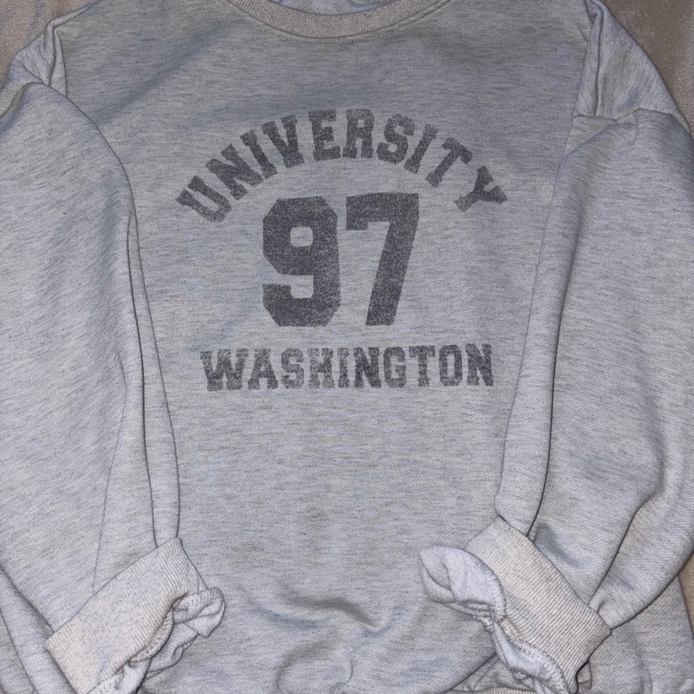 Gray University Washington Men's Sweater